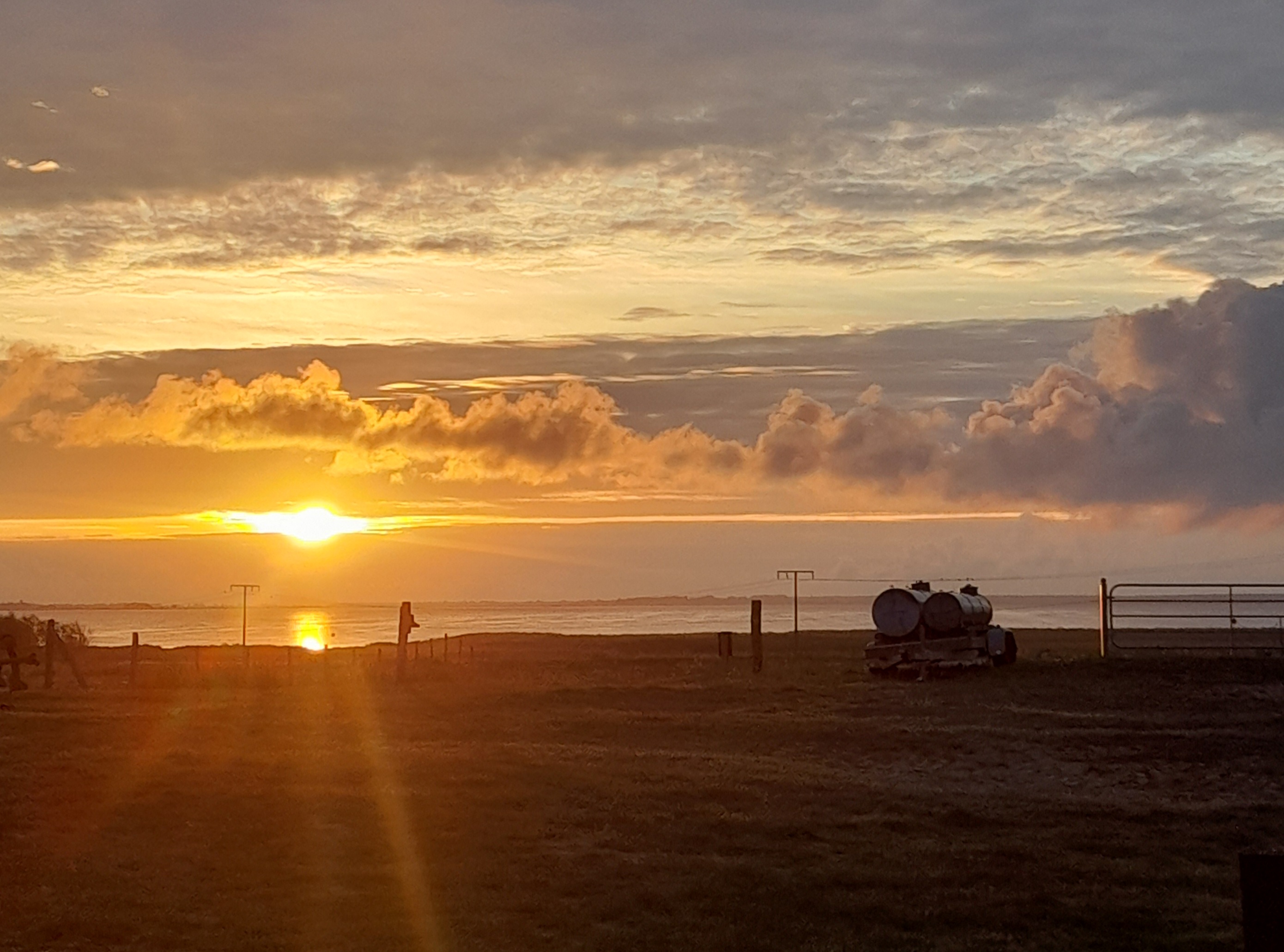 Morgennebel auf den Boddenwiesen © Silvia Priebe